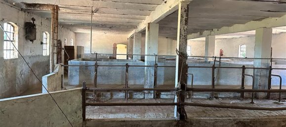 Ферма с 5 спальнями в Нинбург, Германия № 340818 22