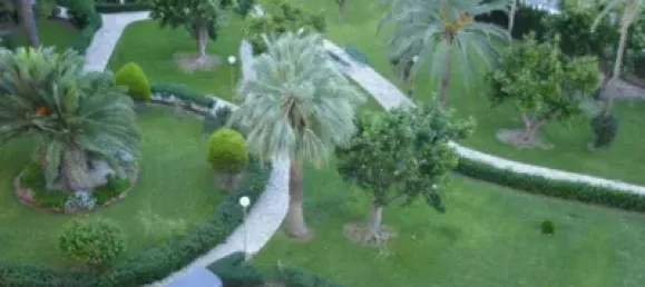 4 chambres Appartement à Cabo De Las Huertas, Spain No. 91652 20