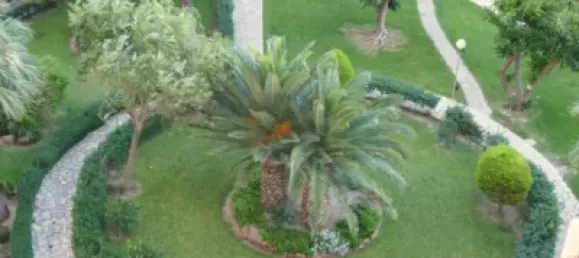 4 chambres Appartement à Cabo De Las Huertas, Spain No. 91652 19