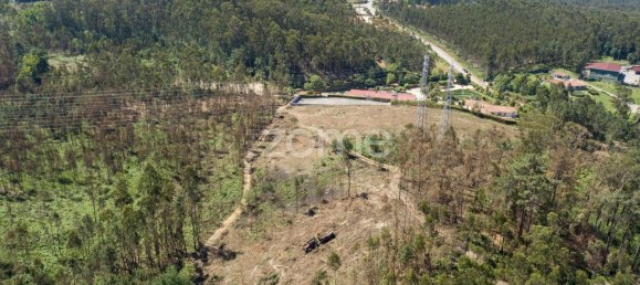 Grundstück in Santa Maria da Feira, Portugal 3439m², Nr. 35100 4