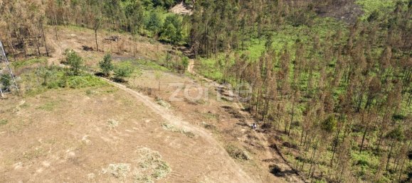 Grundstück in Santa Maria da Feira, Portugal 3439m², Nr. 35100 34