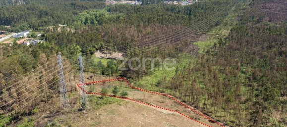 Grundstück in Santa Maria da Feira, Portugal 3439m², Nr. 35100 16