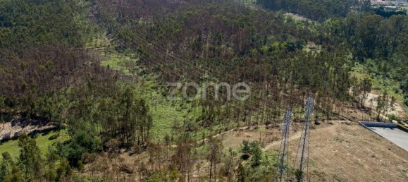 Grundstück in Santa Maria da Feira, Portugal 3439m², Nr. 35100 9