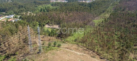 Grundstück in Santa Maria da Feira, Portugal 3439m², Nr. 35100 15
