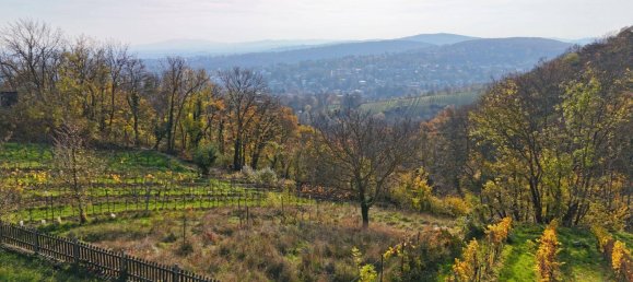 6-Zimmer Haus in Döbling, Austria, Nr. 64984 4