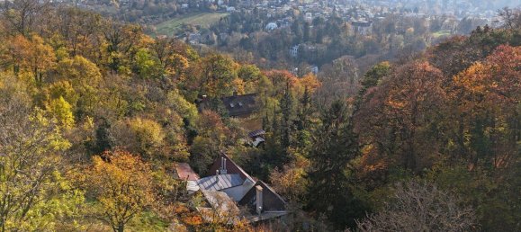 6-Zimmer Haus in Döbling, Austria, Nr. 64984 23