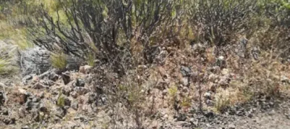 Grundstück in El Rosario, Spain 532m², Nr. 118599 7