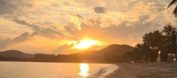  Commercial property in Ko Samui, Thailand No. 24004 4