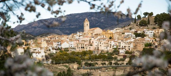 3 غرف نوم فيلا في Polop, Spain رقم 287556 13