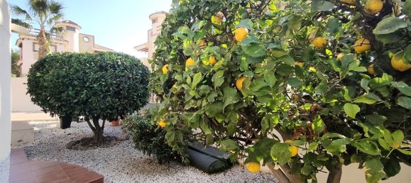 5 Schlafzimmer Villa in Villamartin, Spain, Nr. 10939 17