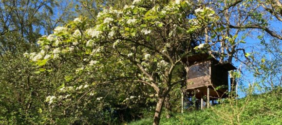  قطعة أرض في Dingolfing-Landau, Germany رقم 316566 17