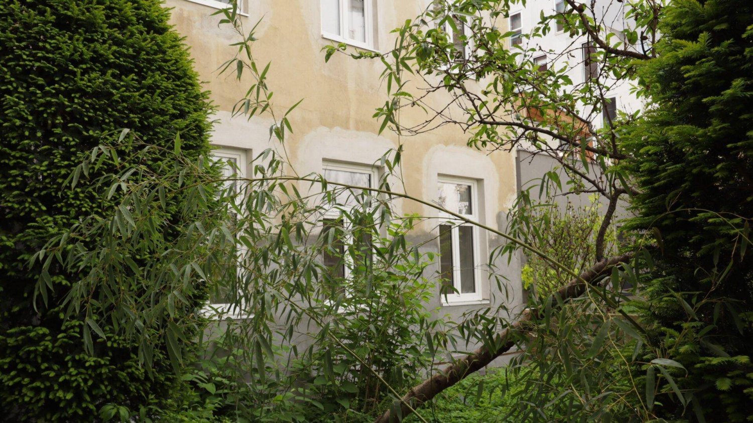 Studio in Meidling, Austria No. 170368