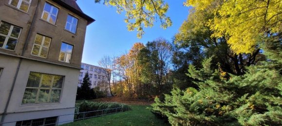 Коммерческая недвижимость с 10 комнатами в Plauen, Германия № 86319 4