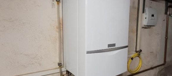 Коммерческая недвижимость с 10 комнатами в Plauen, Германия № 86319 38