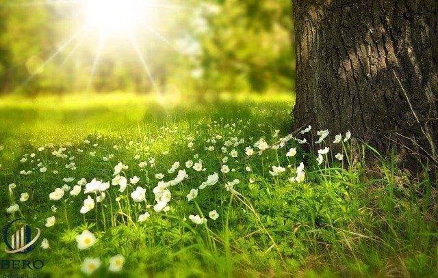 Grundstück in Klosterneuburg, Austria, Nr. 242901