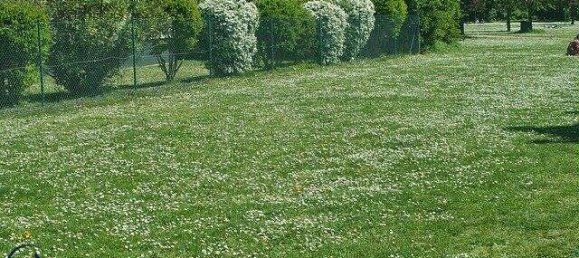 Grundstück in Klosterneuburg, Austria, Nr. 242901 3