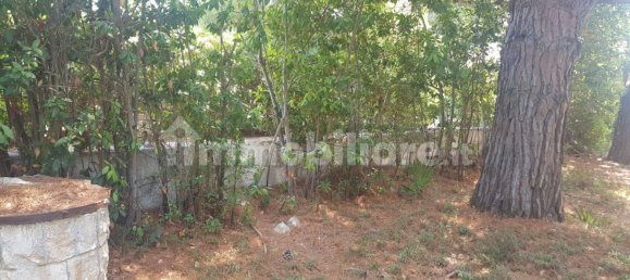 3 bedrooms Villa in Ostuni, Italy No. 286050 18