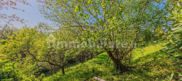 4 bedrooms Villa in Montaione, Italy No. 125090 11