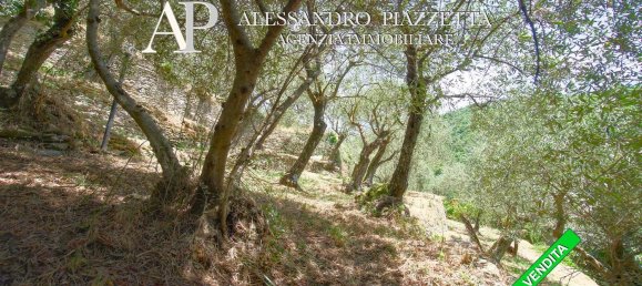 4 bedrooms House in Lavagna, Italy No. 352328 28