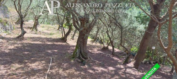 4 bedrooms House in Lavagna, Italy No. 352328 33