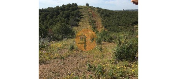 Земельный участок 3676м² в Азиньял, Португалия № 65757 4