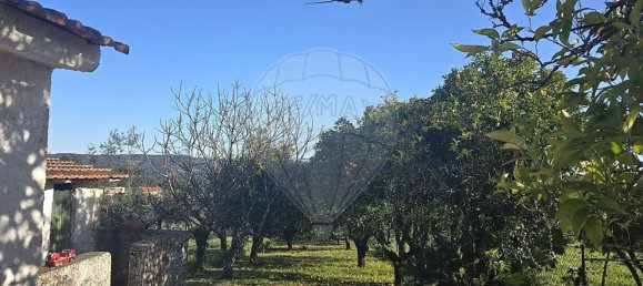 3 bedrooms House in Alvaiazere, Portugal No. 178662 3