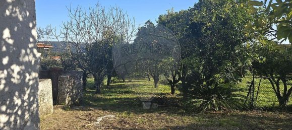 3 bedrooms House in Alvaiazere, Portugal No. 178662 21