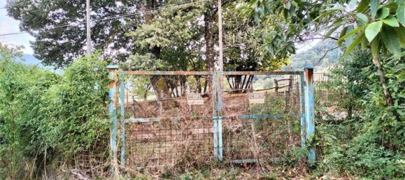 Grundstück in Segni, Italy, Nr. 346855 13