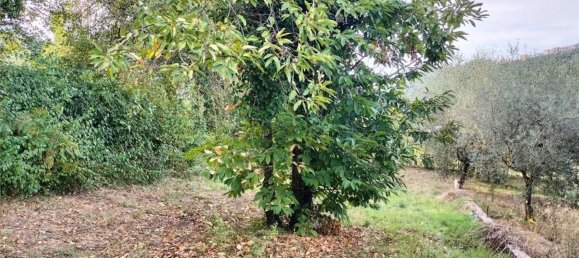 Grundstück in Segni, Italy, Nr. 346855 12