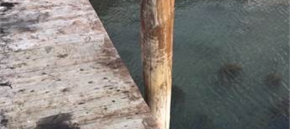 3 rooms Warehouse in Venice, Italy No. 61797 17