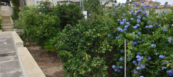 3 bedrooms Villa in Algorfa, Spain No. 176583 37