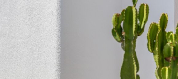 3 غرف نوم فيلا في San Fulgencio, Spain رقم 12374 9