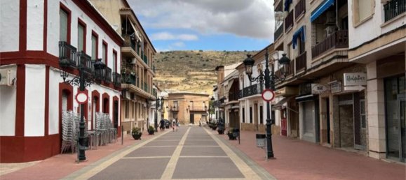 Таунхаус с 8 спальнями в Сьюдад Реаль, Испания № 169220 19