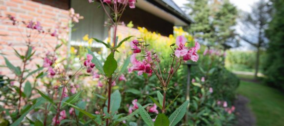 2 Schlafzimmer Bungalow in Schleswig-Flensburg, Germany, Nr. 357621 13