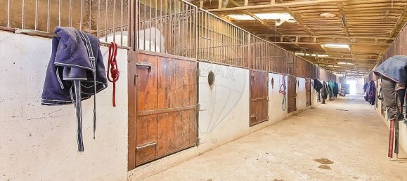 9106m² Warehouse in Guimaraes, Portugal No. 35802 9