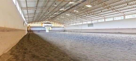 9106m² Warehouse in Guimaraes, Portugal No. 35802 5