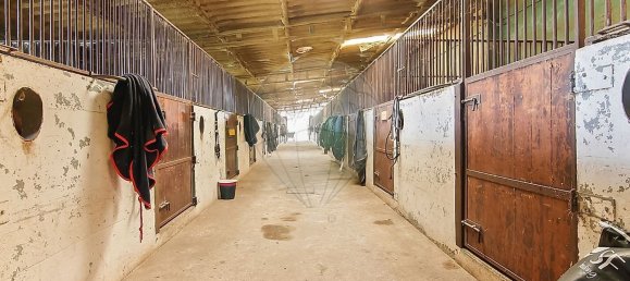 9106m² Warehouse in Guimaraes, Portugal No. 35802 11