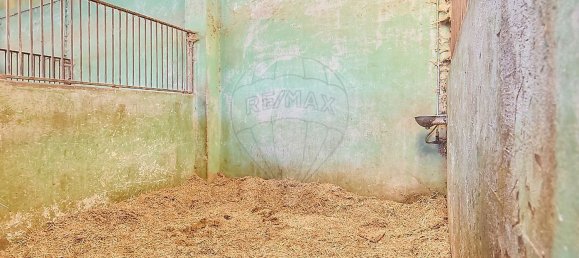 9106m² Warehouse in Guimaraes, Portugal No. 35802 10