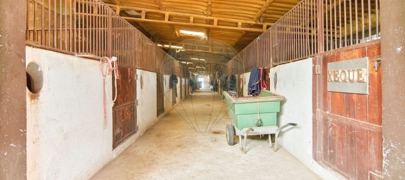 9106m² Warehouse in Guimaraes, Portugal No. 35802 8