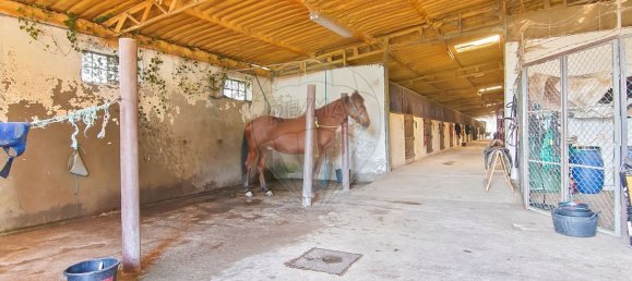 9106m² Warehouse in Guimaraes, Portugal No. 35802 4