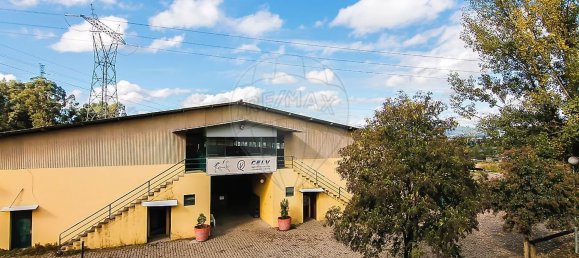 9106m² Warehouse in Guimaraes, Portugal No. 35802 7