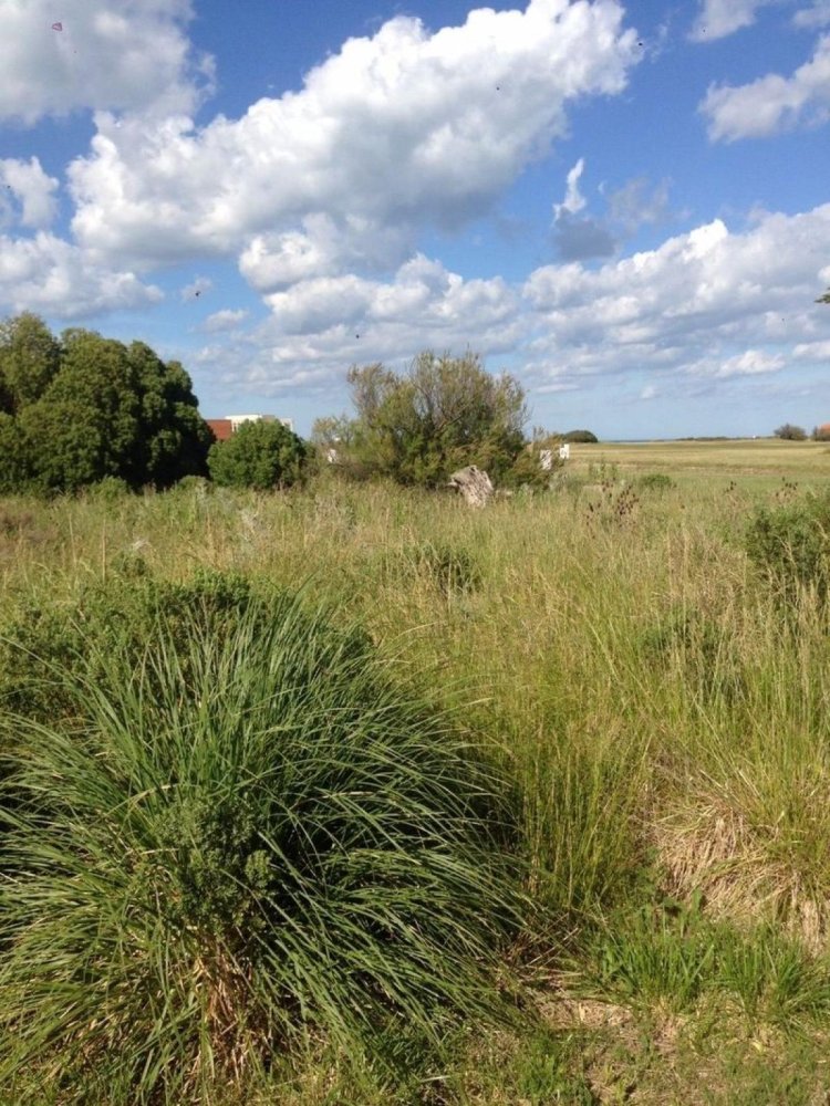  قطعة أرض في Mar del Plata, Argentina رقم 117379