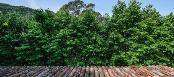 12 bedrooms House in Sintra, Portugal No. 135989 14