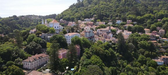 12 bedrooms House in Sintra, Portugal No. 135989 19