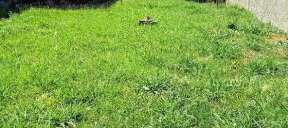 6-Zimmer Haus in Cascina, Italy, Nr. 110256 8