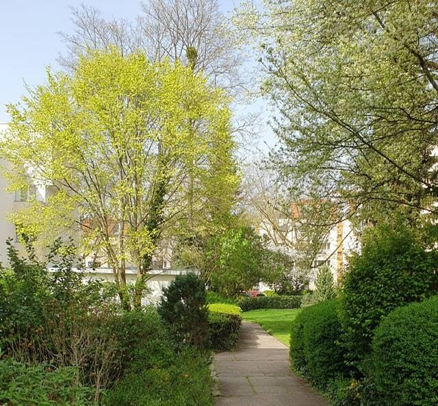 3-Zimmer Wohnung in Lankwitz, Germany, Nr. 296387