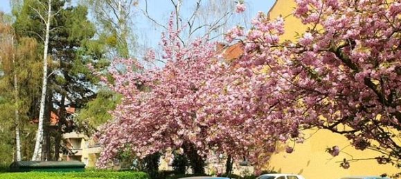 3-Zimmer Wohnung in Lankwitz, Germany, Nr. 296387 2