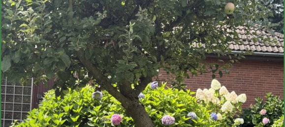 Casa de 4 dormitorios en Burscheid, Germany No. 291451 39