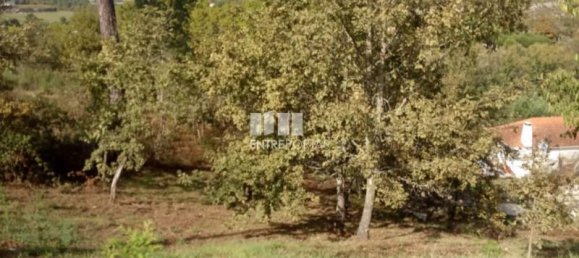 6340m² Land in Marco de Canaveses, Portugal No. 54927 5