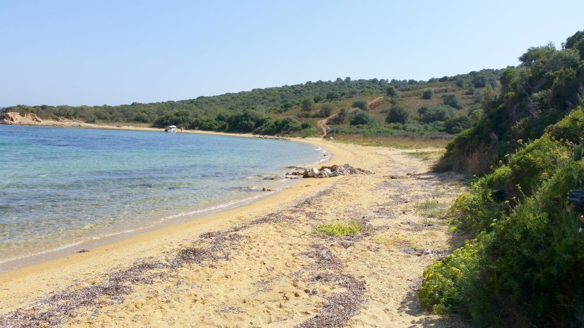 12000m² Hotel in Chalkidiki, Greece No. 6793